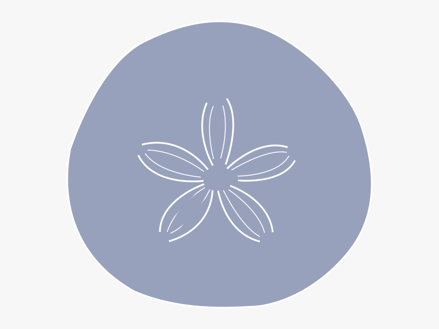 Sand Dollar Png - Circle, Transparent Png