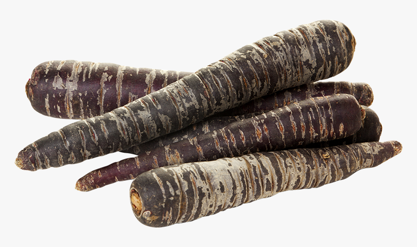 Carrots Png Purple - Purple Carrot Png, Transparent Png