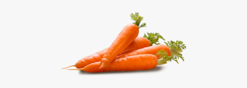 Carrot Png Transparent, Png Download