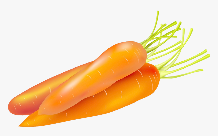 Carrot Cake Food Vegetable - Carrots Vector Png, Transparent Png