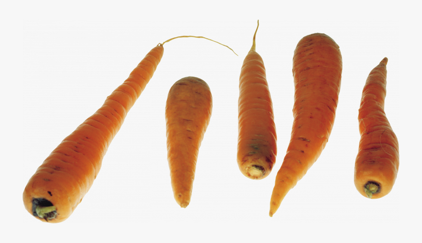 Download This High Resolution Carrot Png Picture - Carrot, Transparent Png