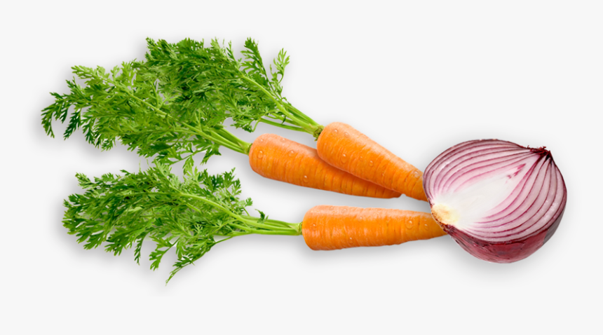 Glory Shot - Onion Carrot, HD Png Download