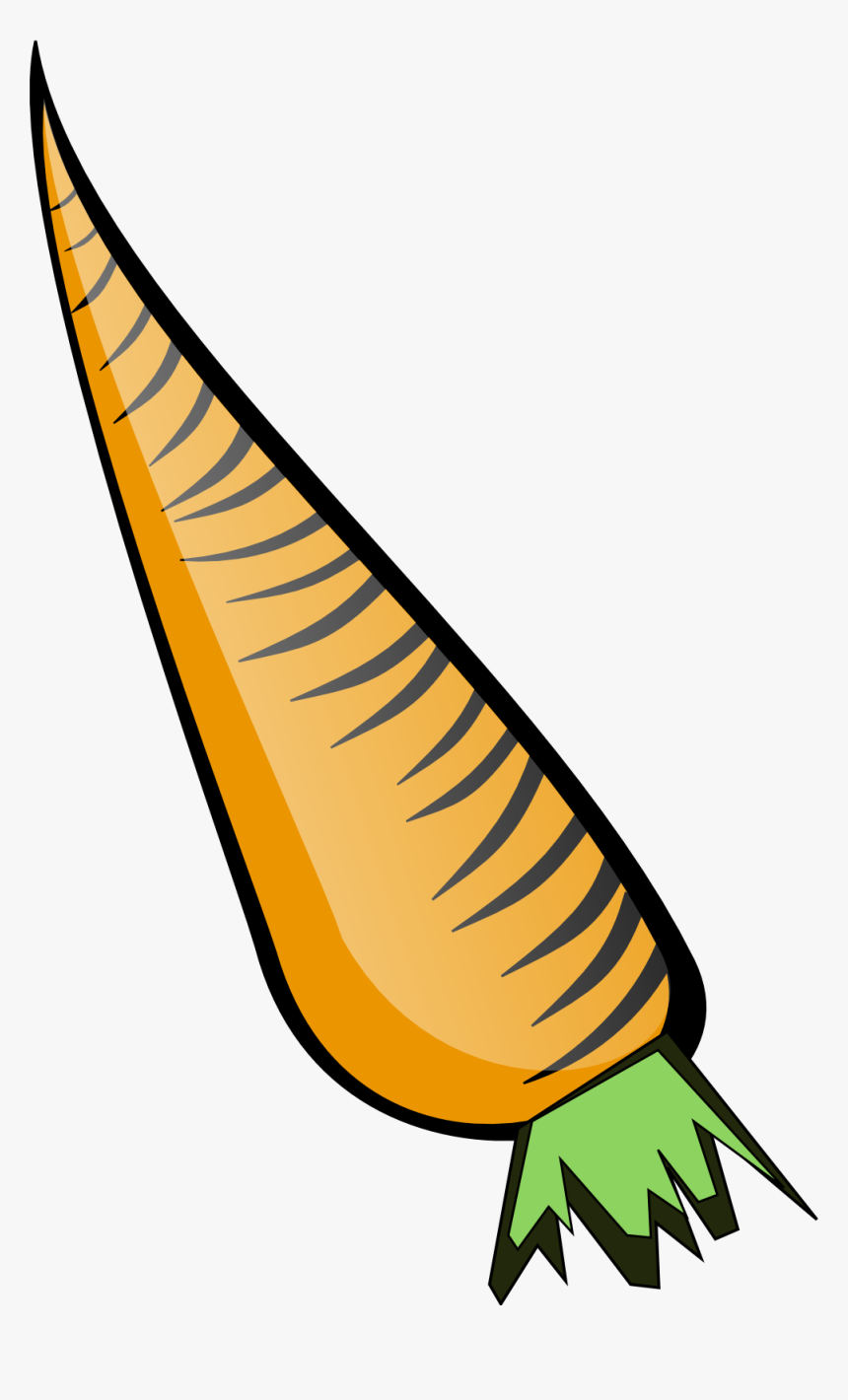 Vector Transparent Stock Carrots Clip Art Clipartbarn - Carrot Clip Art, HD Png Download