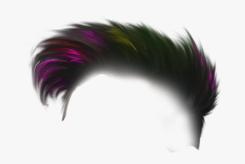 Holi Hair Png - Png New Background, Transparent Png