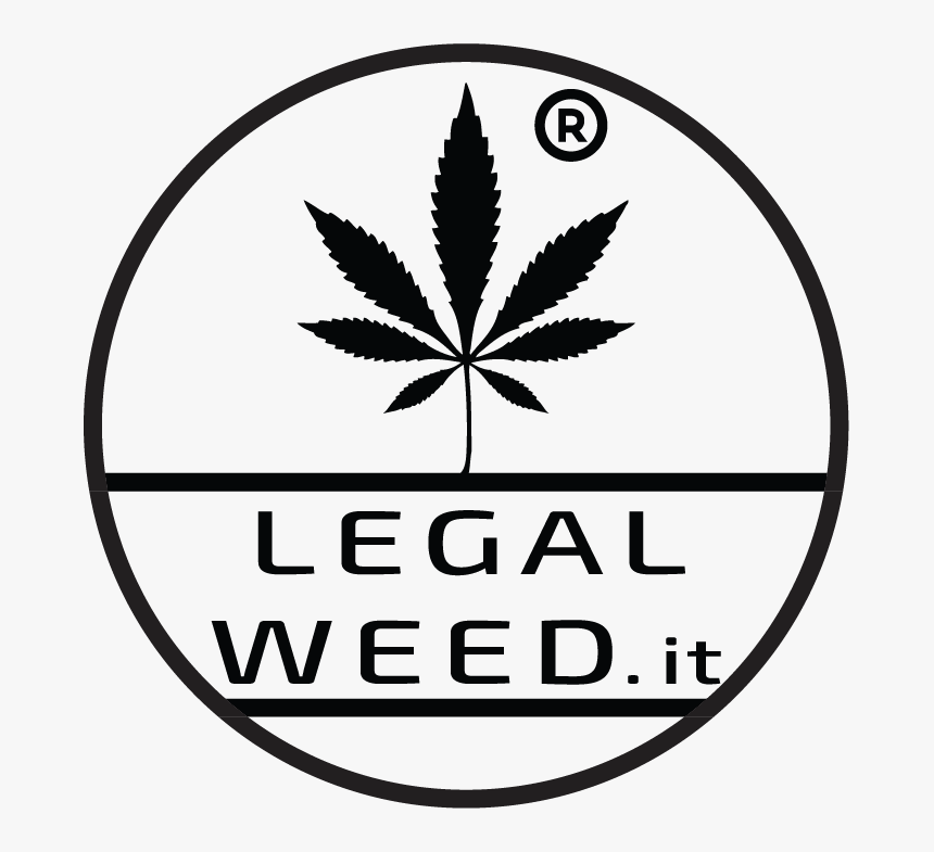 Legal Weed Cannabis Light - Marijuana Leaf, HD Png Download