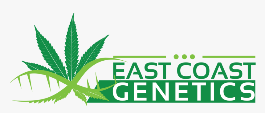 Looking To Grow Your Own Strain - Marijuana Leaf, HD Png Download