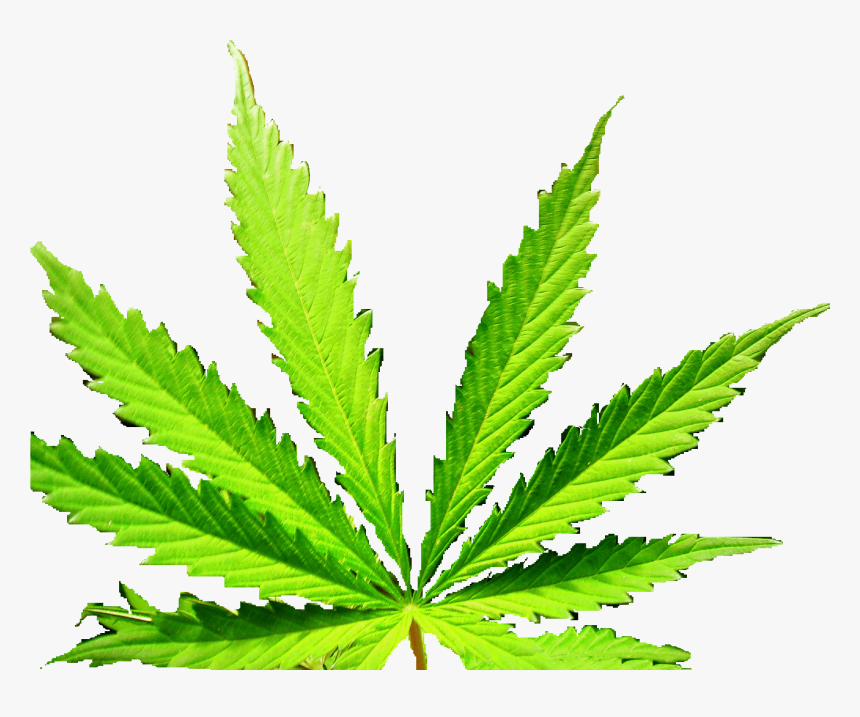 Plantation, HD Png Download