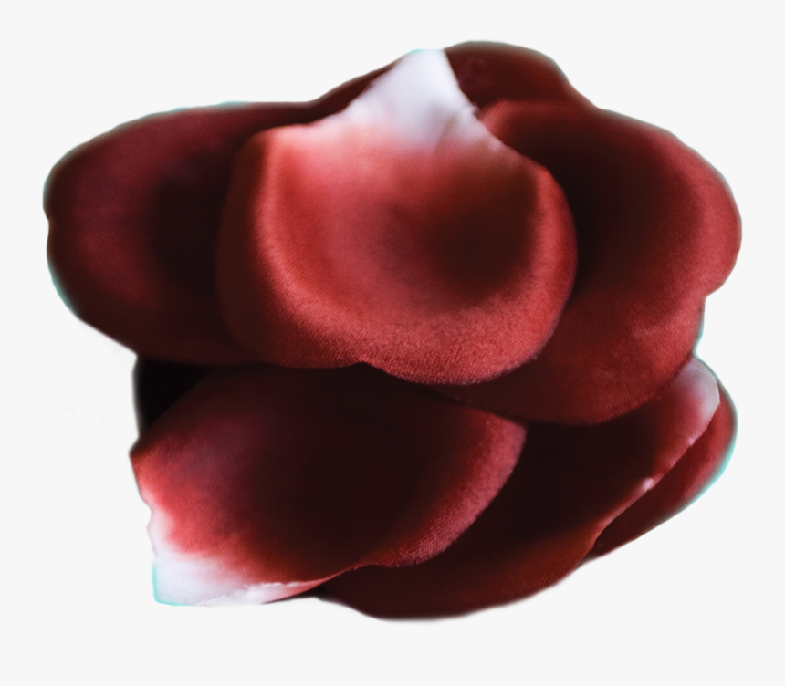 Rose Petals Png, Transparent Png