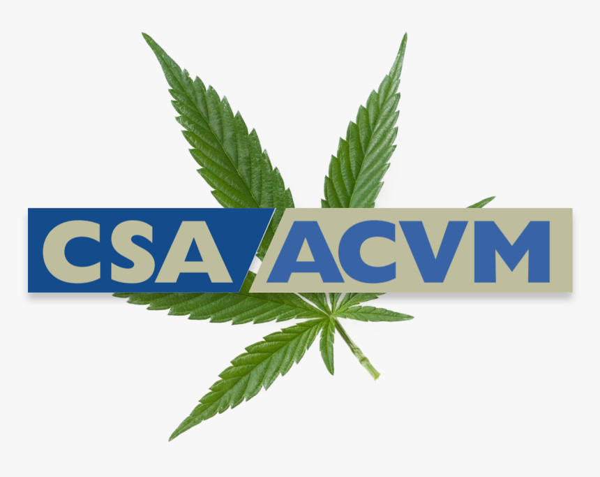 Canadian Securities Administrators, HD Png Download