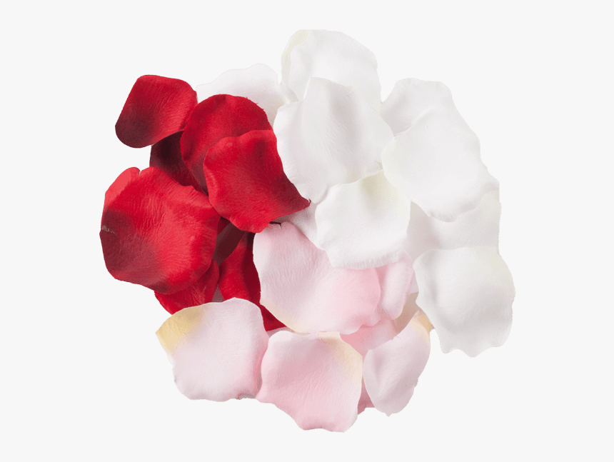 Silk Rose Petals Gift Set - Artificial Flower, HD Png Download