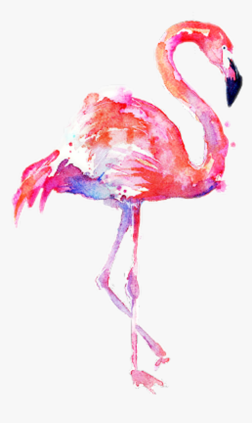 Flamingo Transparent Water Color - Transparent Background Flamingo Png, Png Download