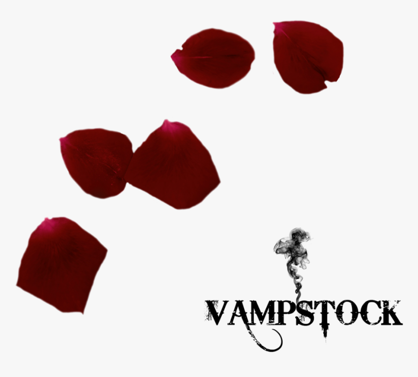 1024x1024, Selected - Red Rose Petals Falling, HD Png Download