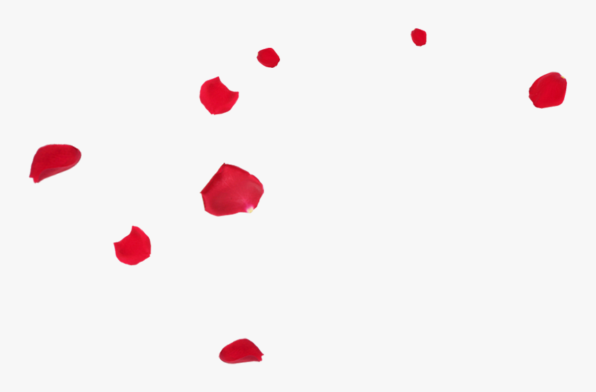 Roses, Rose Petals, Big File, Store Jesus Richmond - Pétalos De Rosa Png, Transparent Png