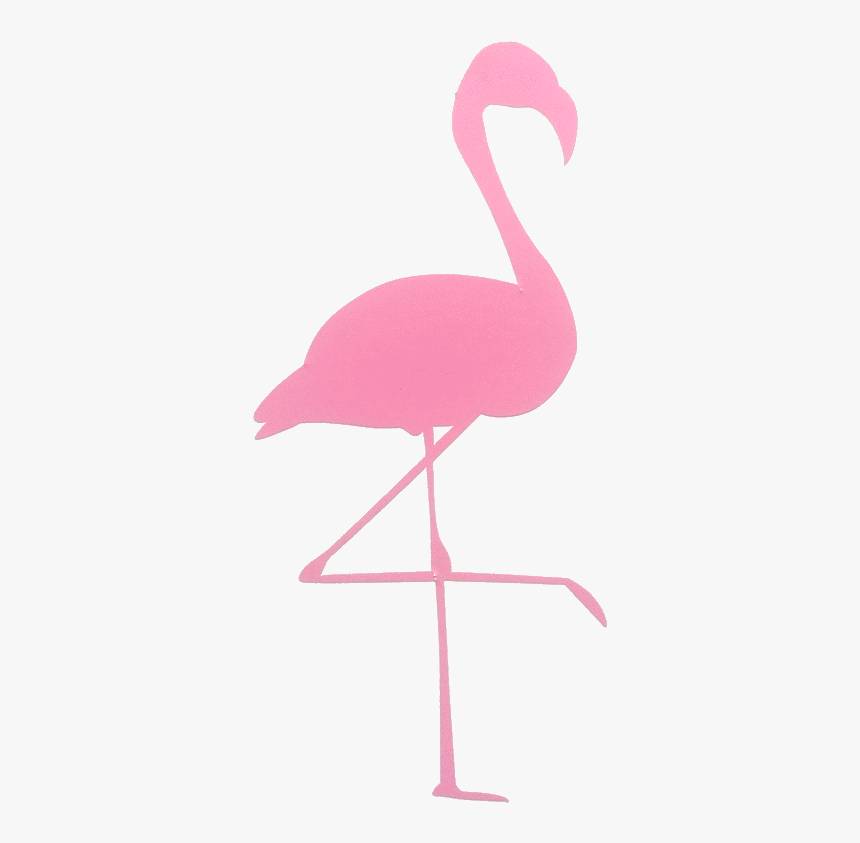 Pink Flamingo Transparent, HD Png Download