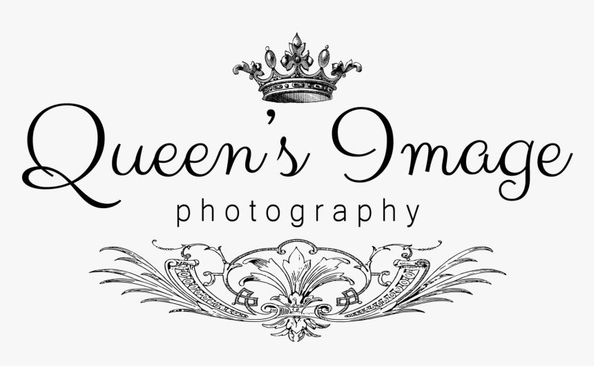 Qilogo3 - Calligraphy, HD Png Download