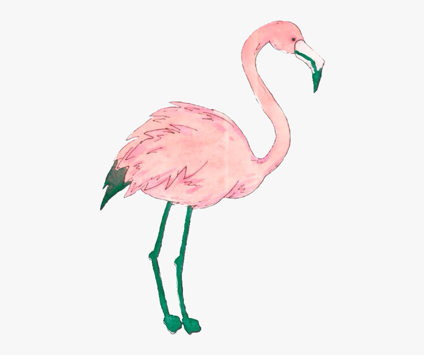 Clip Art Flamingo Tumblr Png - Png Flamingo, Transparent Png