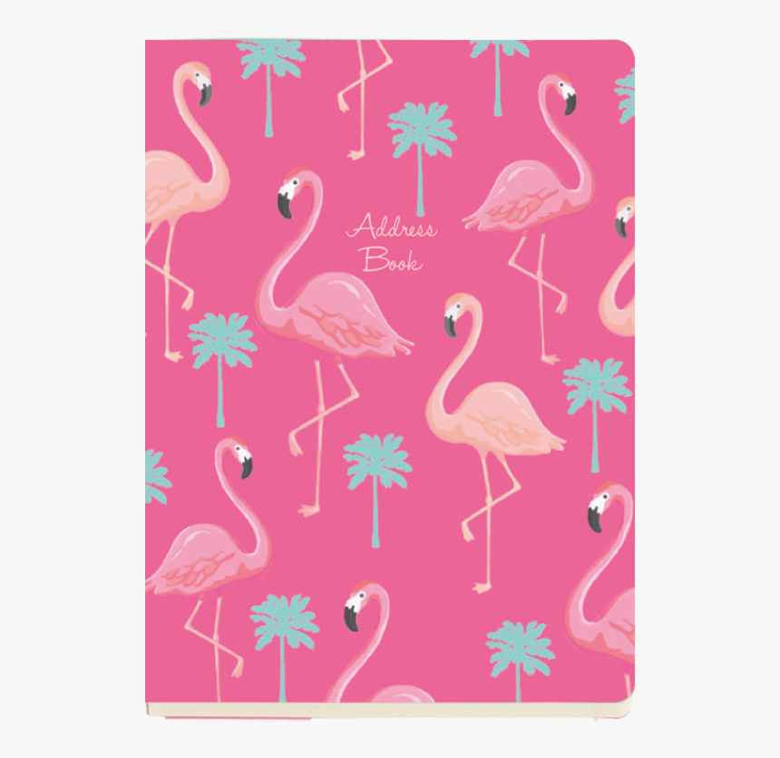 Greater Flamingo, HD Png Download