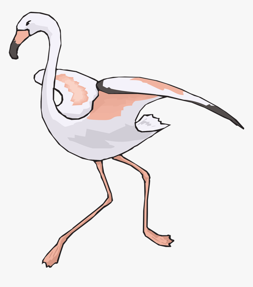 นก กระสา Png, Transparent Png