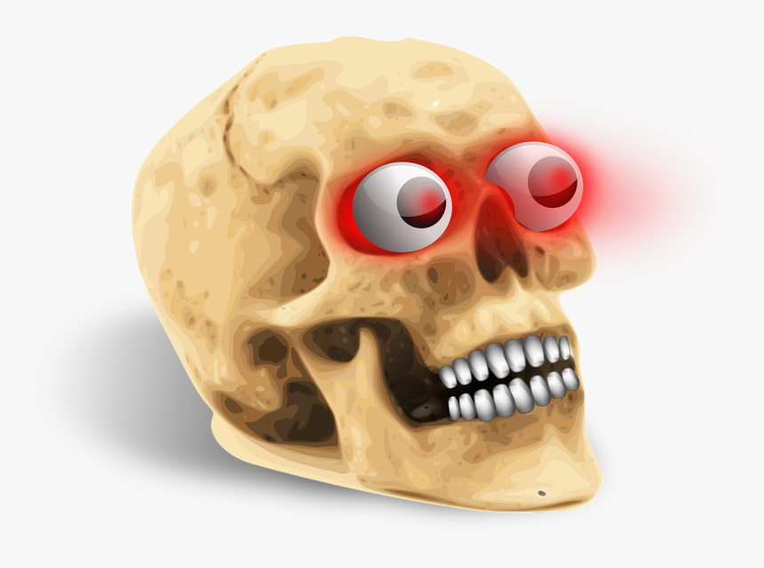 Human Skull, HD Png Download