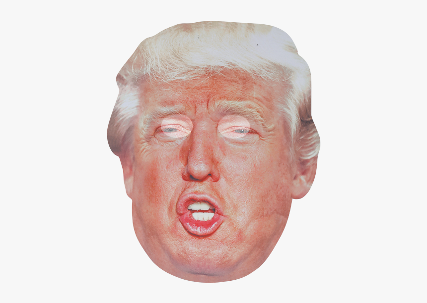 Sketch, HD Png Download