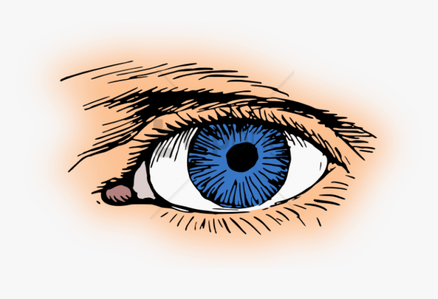 Design,circle - Clip Art Eyes Blue, HD Png Download