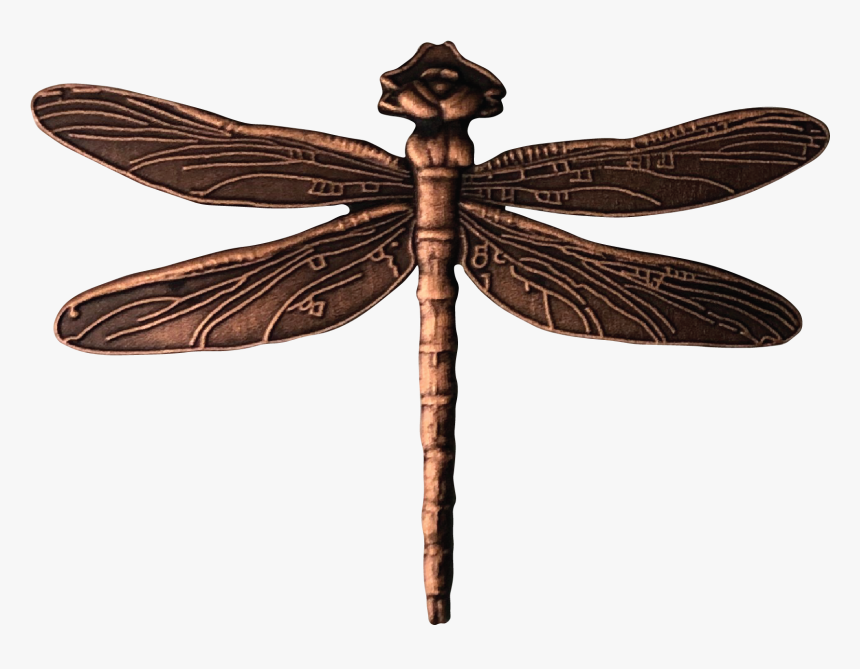 Hawker Dragonflies, HD Png Download