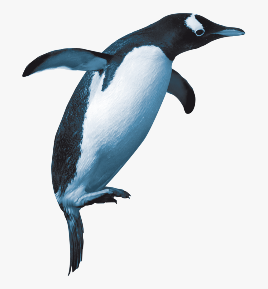 Adã©lie Penguin, HD Png Download