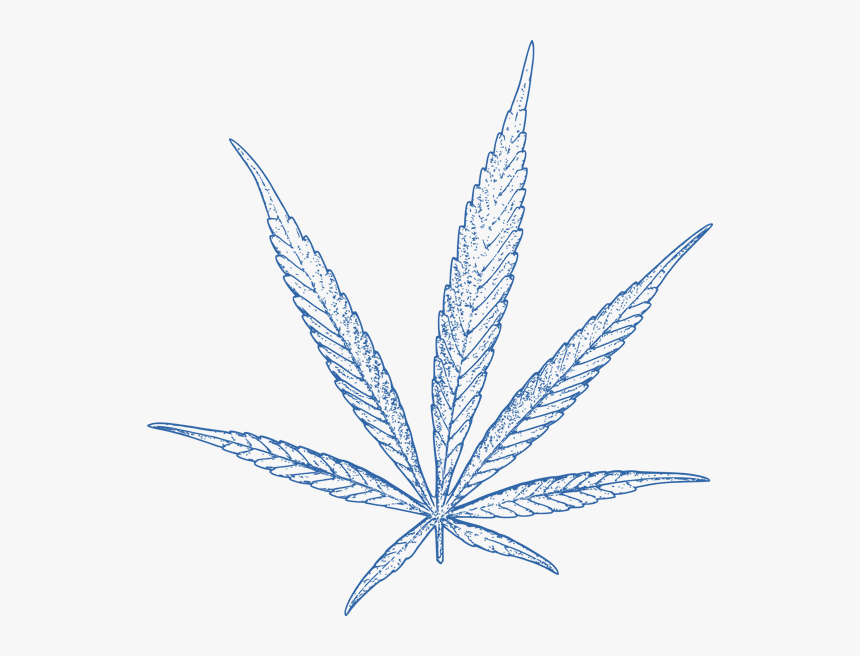 Cannabis Leaf Blue - Planta Cannabis Vector Free, HD Png Download