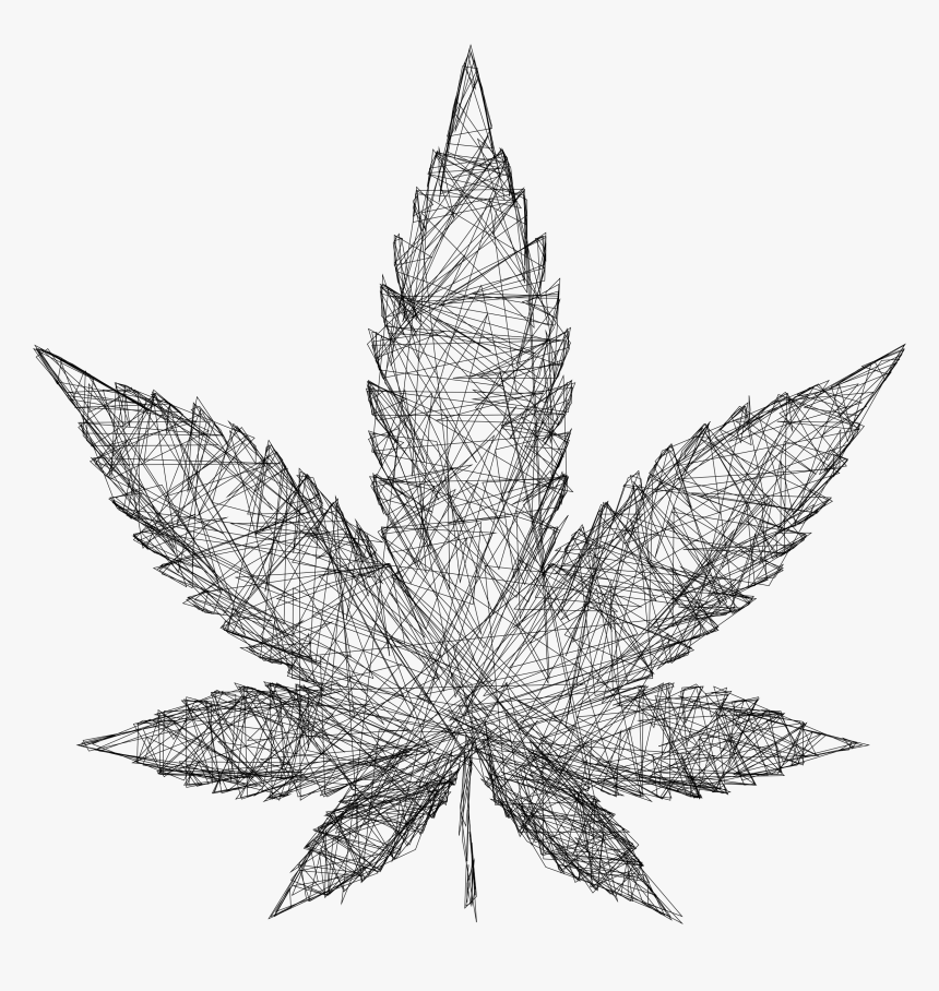 Cannabis Drawing Leaf - Wireframe Marijuana, HD Png Download