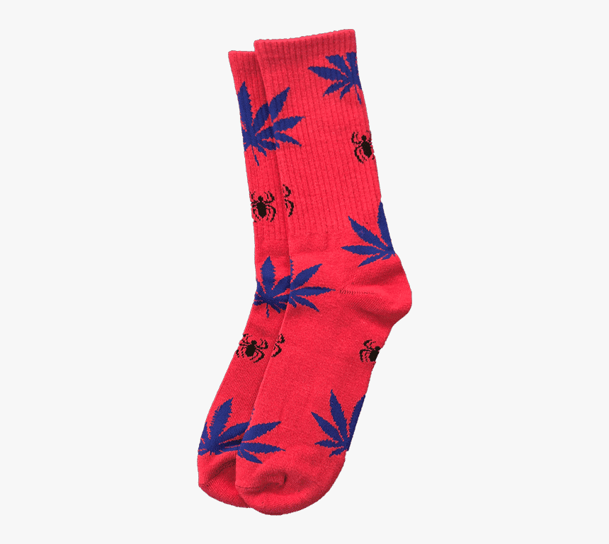 Sock, HD Png Download