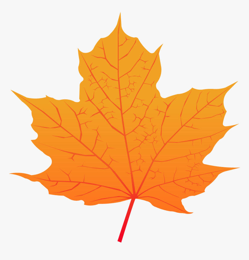 Maple Leaf - Maple Leaf Png Vector, Transparent Png