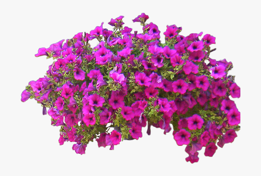 Flowers Bushes Png - Flower Bushes Transparent Background, Png Download