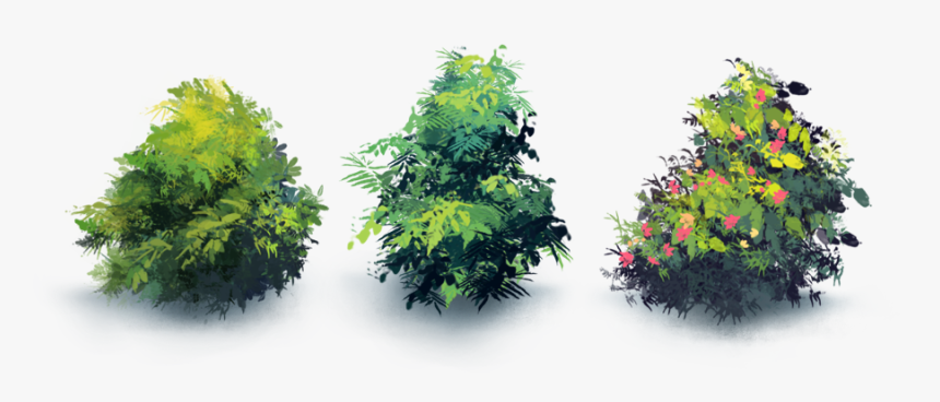Naturemaster-bushes - Maple Leaf, HD Png Download