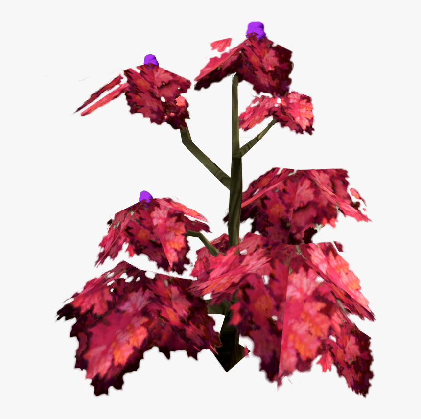 Orchid, HD Png Download