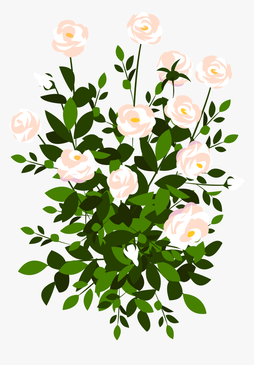 Whte Rose Bush Png Clipart Picture - Rose Bush Clipart Png, Transparent Png