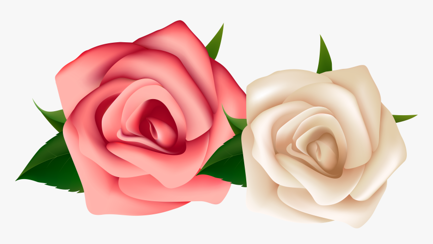 Red And White Rose Png Clipart , Png Download - Red And White Rose Clipart, Transparent Png
