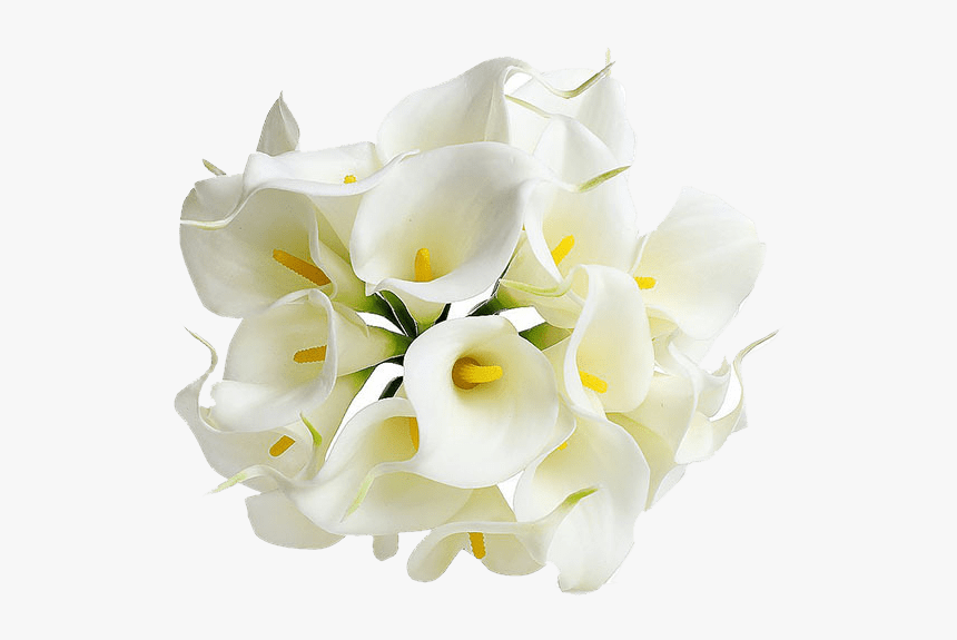 Flowers Mala Png - Calla Lily Flower Png, Transparent Png