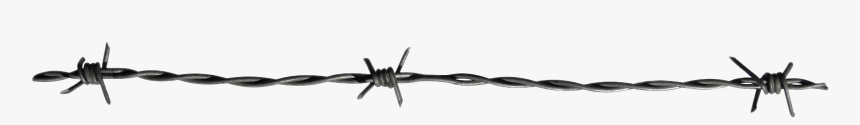 Barbed Wire Single Thread - Barbed Wire, HD Png Download