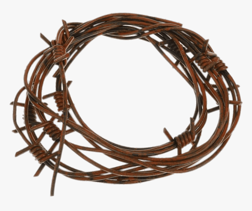 Barbed Wire Fake - Barb Wire, HD Png Download