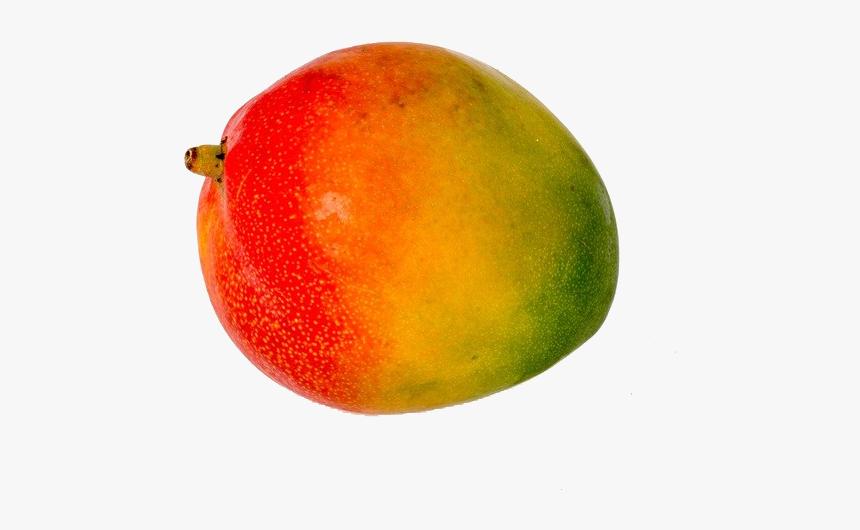 Mango, HD Png Download