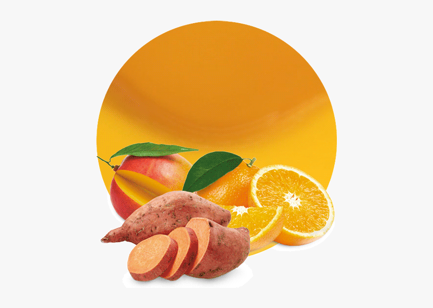 Clementine, HD Png Download