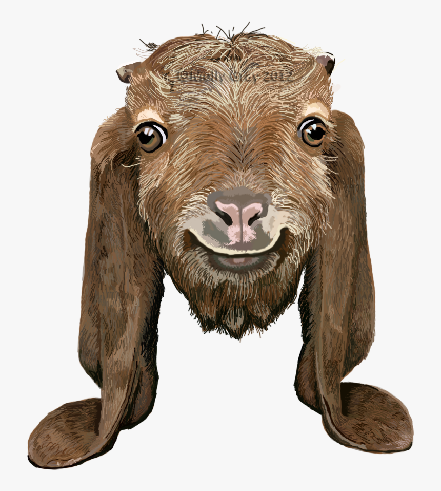 Brown Goat Long Ears, HD Png Download
