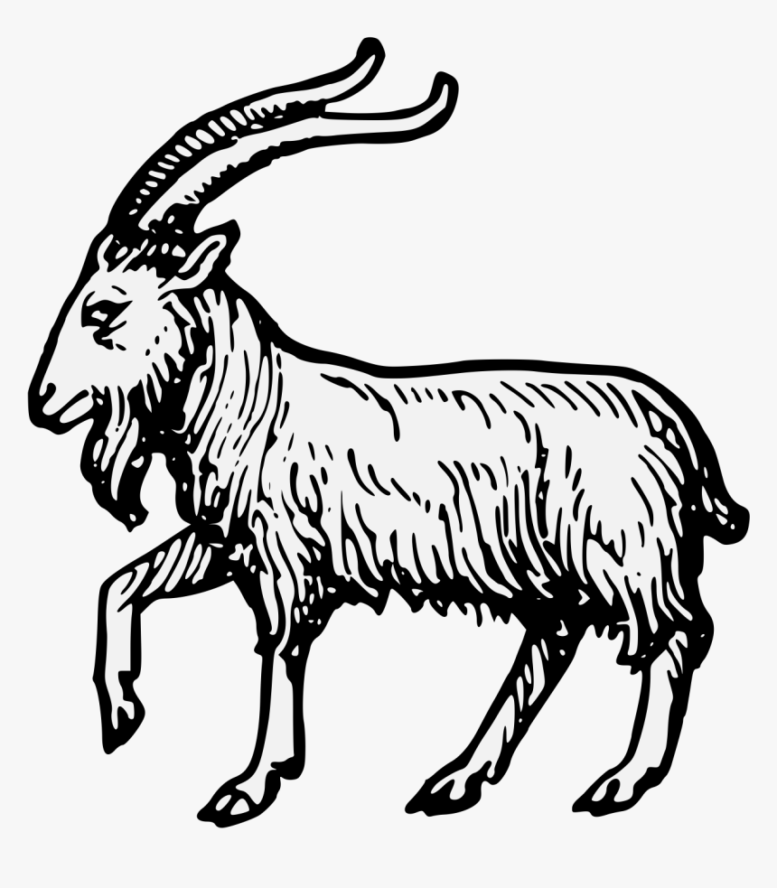 Goat - Goat Passant, HD Png Download