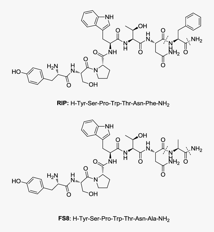 Diagram, HD Png Download