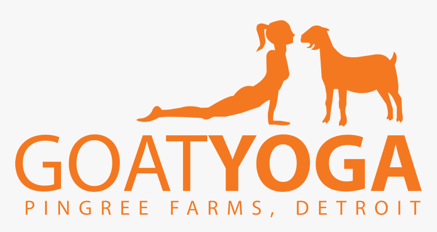 Goat Yoga At Pingree Farms In Detroit, Mi - Goat Yoga Pingree Farms, HD Png Download