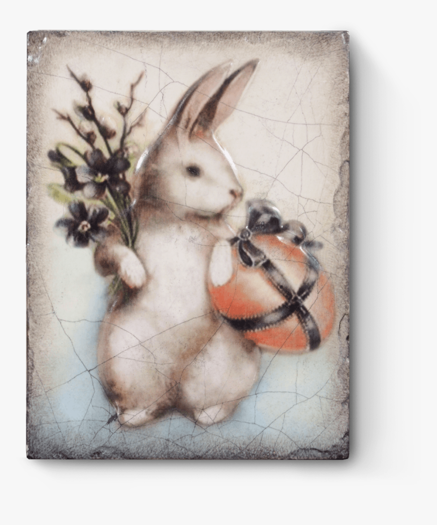 Snowshoe Hare, HD Png Download