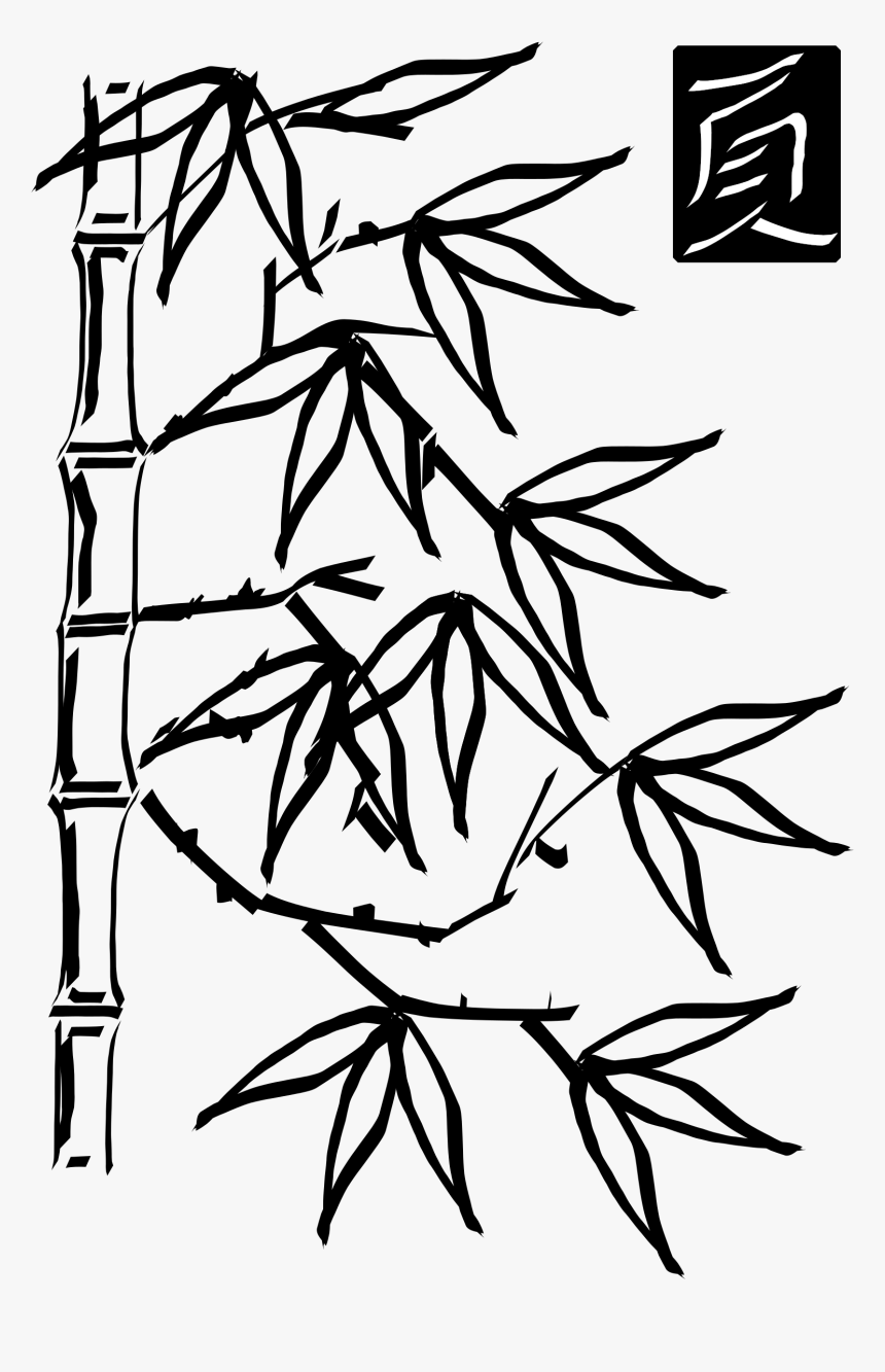 Freehand Bamboo Clip Arts - Bamboo Clipart Black And White, HD Png Download