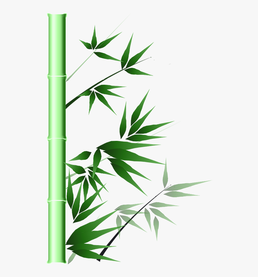 Transparent Bamboo Png - Portable Network Graphics, Png Download