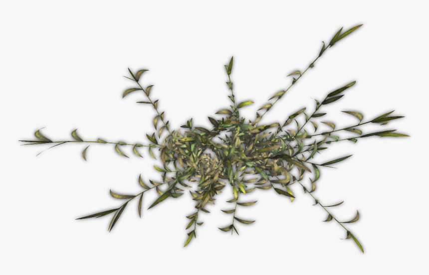 Png Designs Bamboo - Twig, Transparent Png