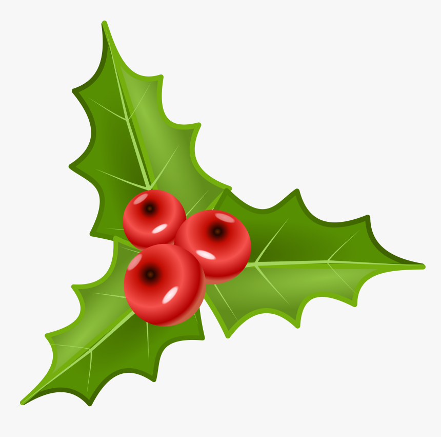 Holly Plant Png, Transparent Png